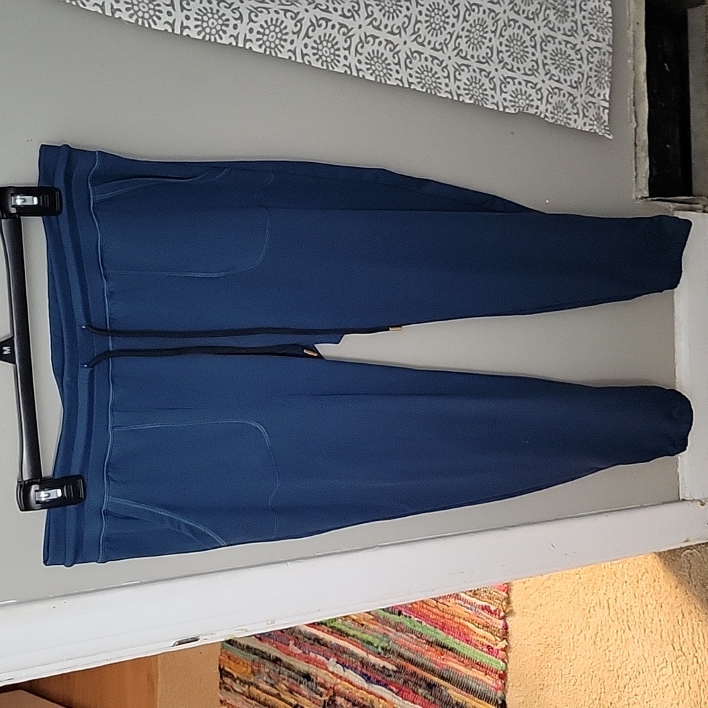 Zyia blue peak zipper joggers